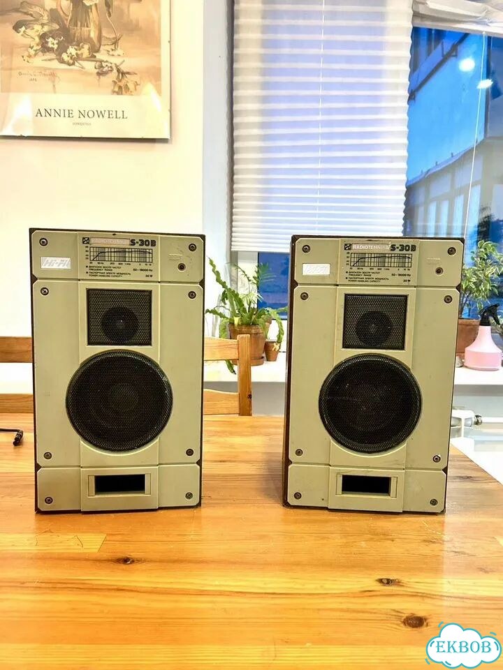 Колонки Radiotehnika S 30B фото 1
