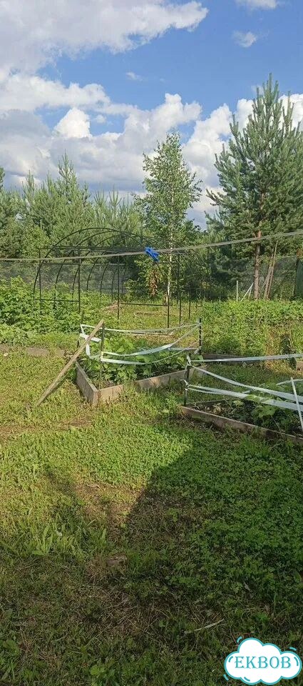Участок 9,9 сот. (ИЖС) фото 6