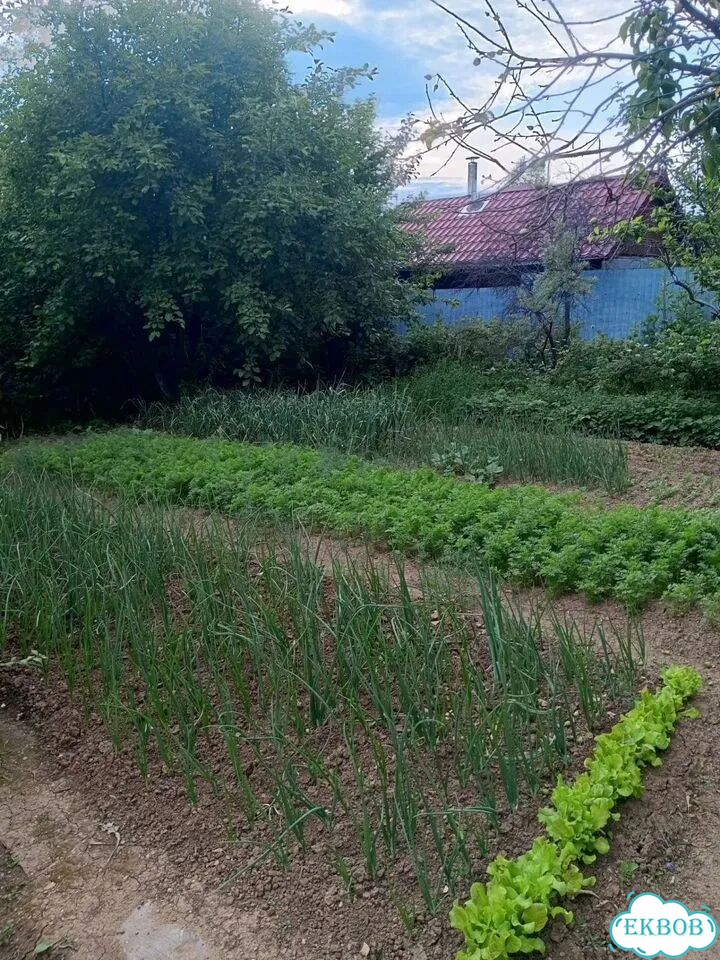 Коттедж 93 м² на участке 7,9 сот. фото 15