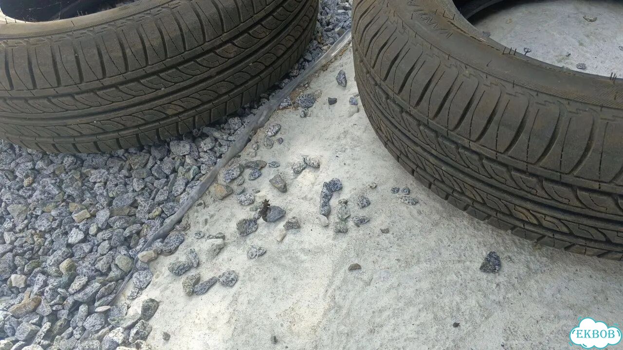 Centara Vanti AS 165/65 R13 77T фото 4