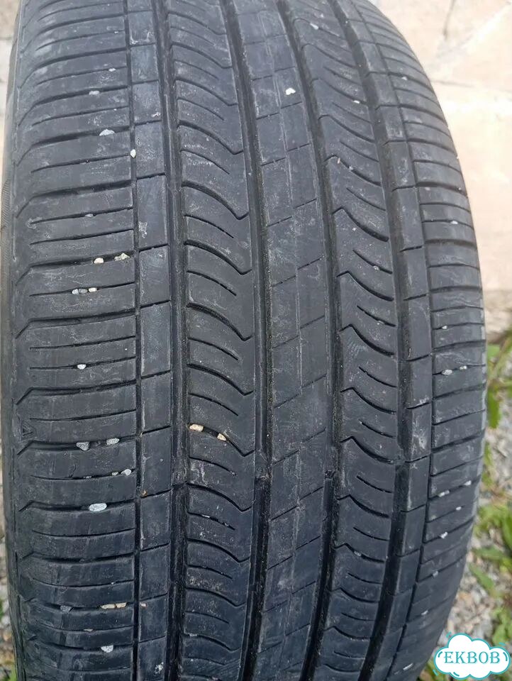 Nexen N'Priz CX 225/45 R17 91W фото 1