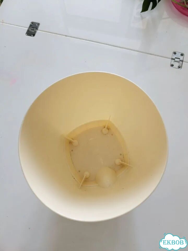Кашпо фото 3