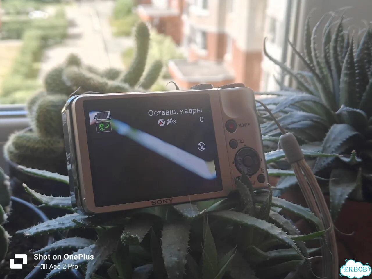 Sony cyber shot DSC-HX5 фото 2