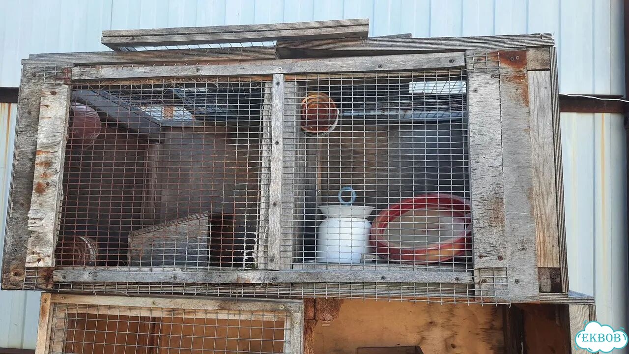 Клетка для кролика б/у фото 3