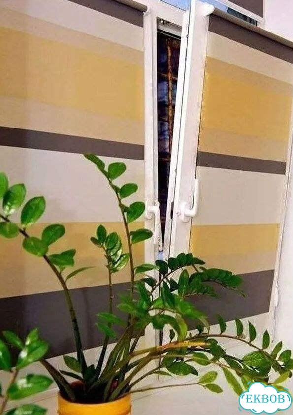 Жалюзи Рулонные шторы фото 3