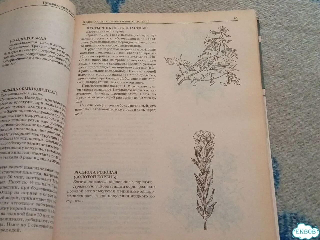 Книга Травник знахаря фото 3