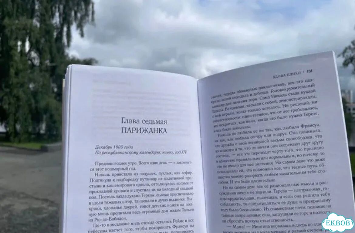 Хелен Фрипп - книга «Вдова Клико» фото 3
