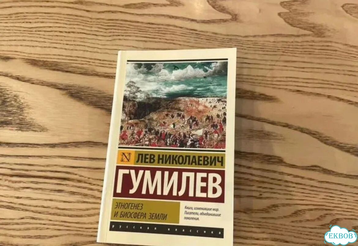 Лев Гумилёв - книга «Этногенез и биосфера земли» фото 1