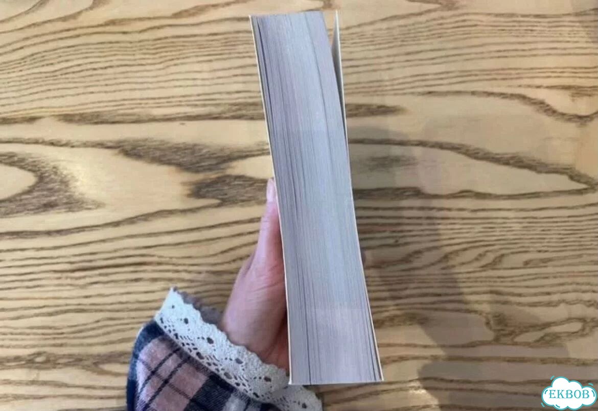 Лев Гумилёв - книга «Этногенез и биосфера земли» фото 2