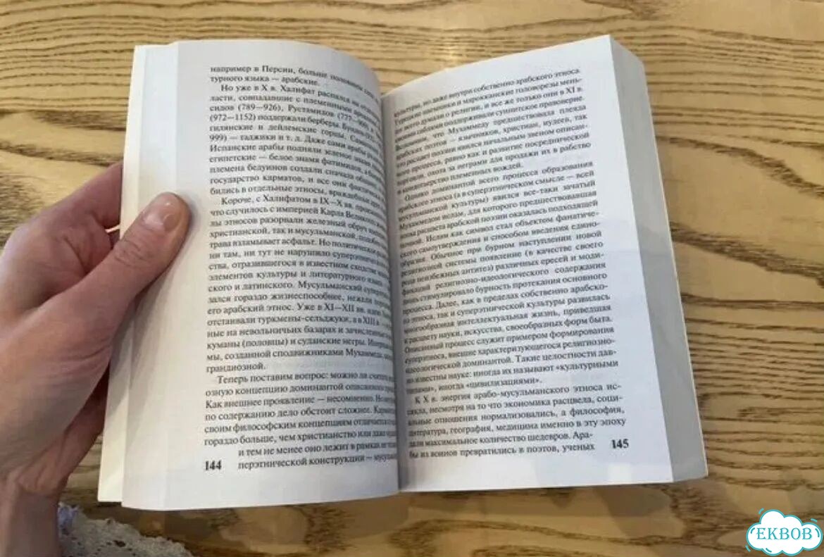 Лев Гумилёв - книга «Этногенез и биосфера земли» фото 3