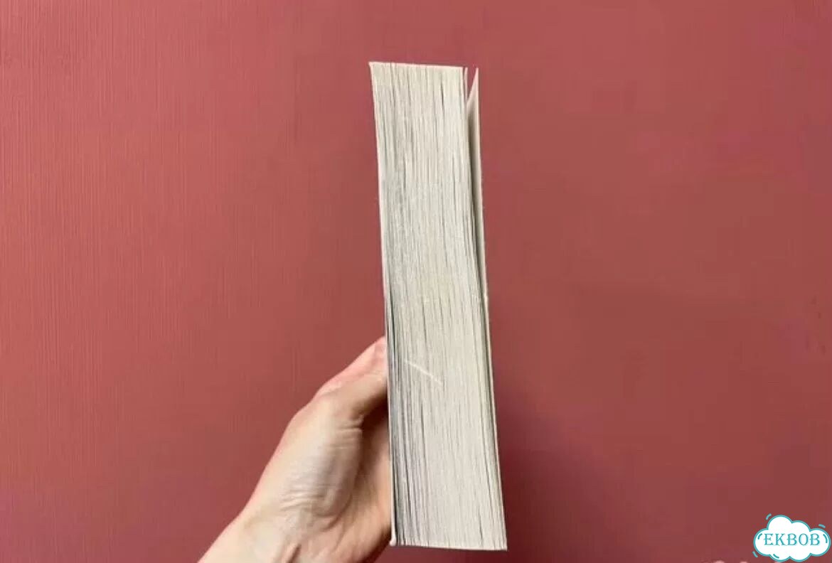 Владимир Набоков - книга «Пнин» фото 3