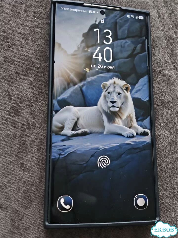 Samsung Galaxy S23 Ultra, 12/256 ГБ, 2 SIM фото 3