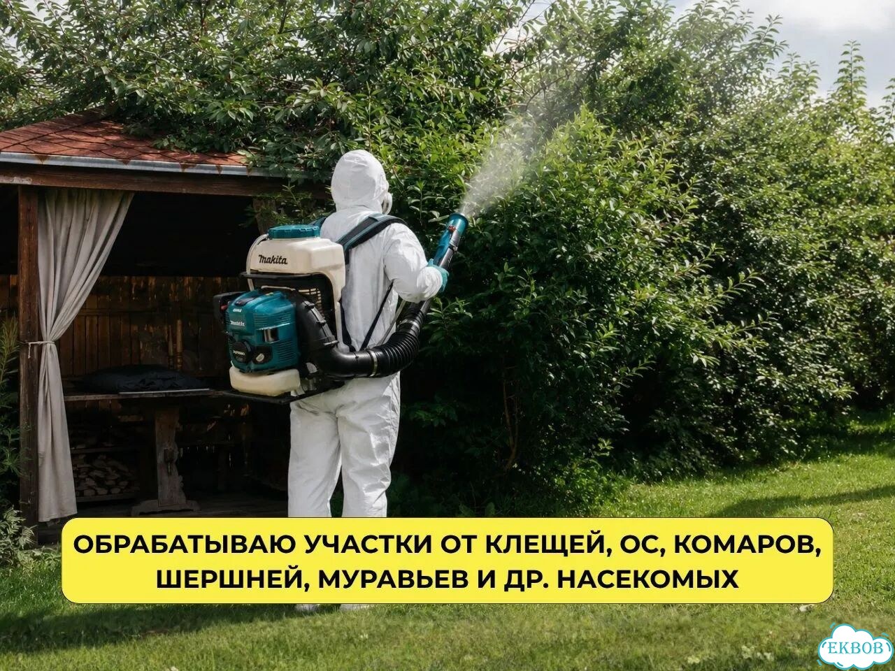 Обработка от клещей, комаров, клопов Дезинфекция фото 2