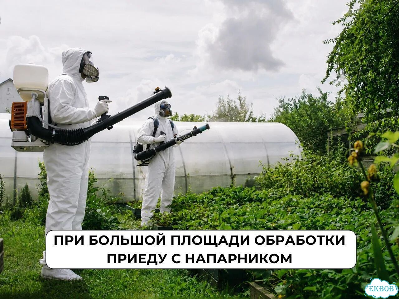 Обработка от клещей, комаров, клопов Дезинфекция фото 4