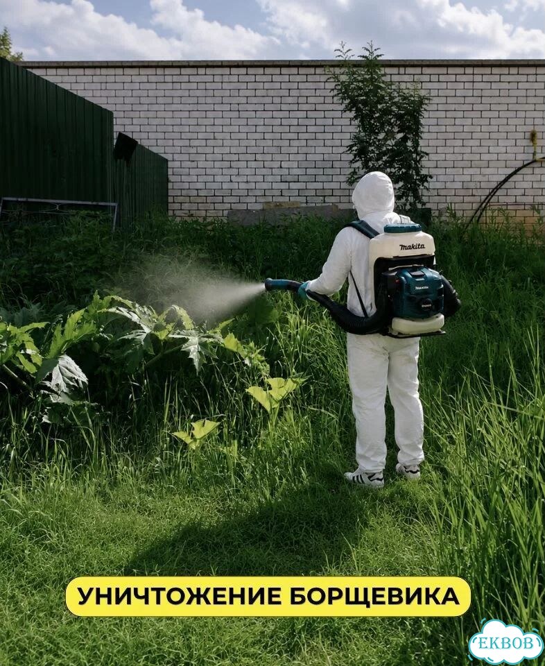 Обработка от клещей, комаров, клопов Дезинфекция фото 7