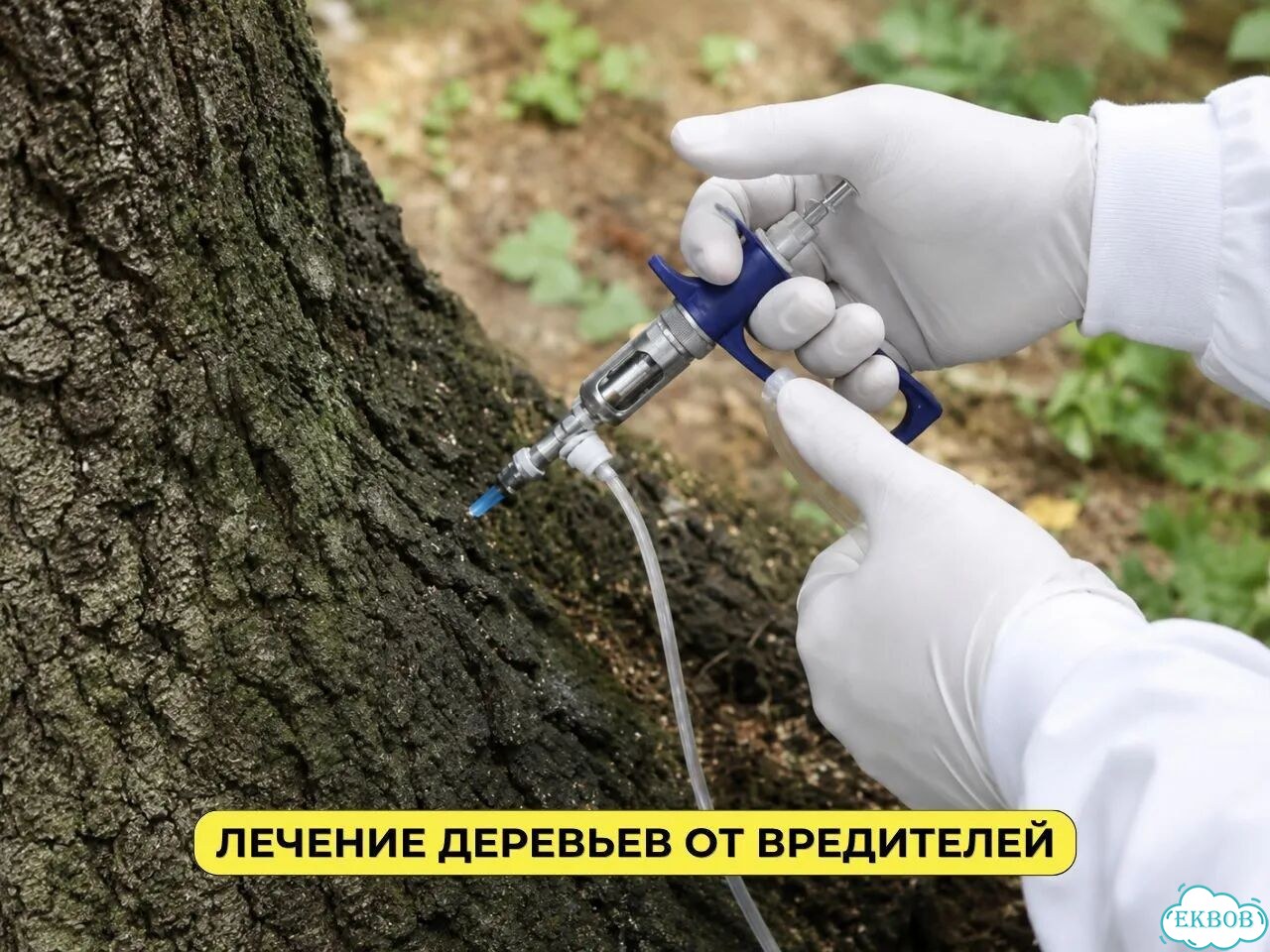 Обработка от клещей, комаров, клопов Дезинфекция фото 9
