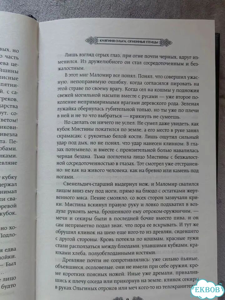 Елизавета Дворецкая. Княгиня Ольга. Огненные птицы фото 5