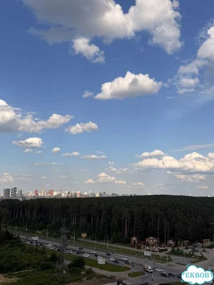 Квартира-студия, 20 м², 14/25 эт. фото 16