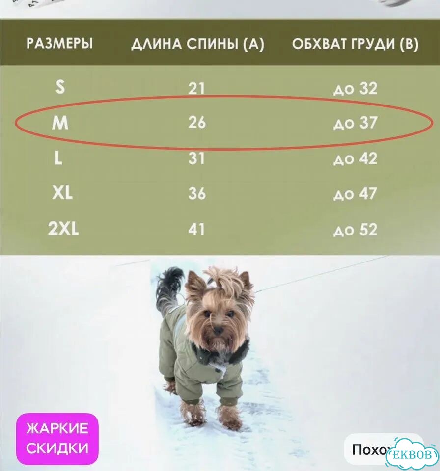 Одежда для собак мелких пород фото 6