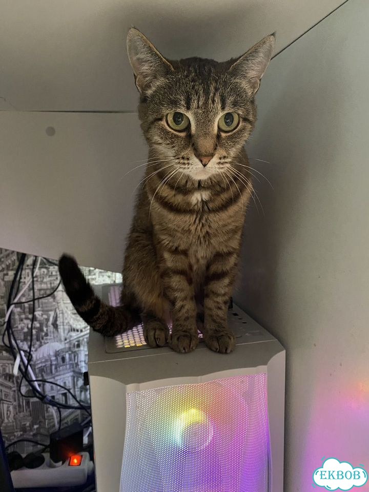 Корпус для игрового компьютера фото 2