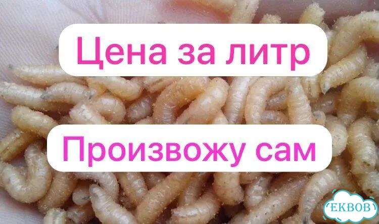 Опарыш от производителя фото 2