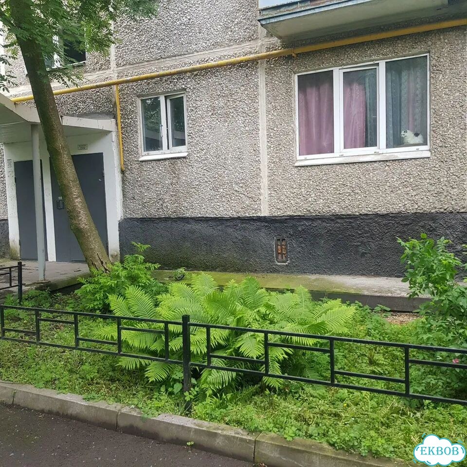 2-к. квартира, 42,7 м², 1/5 эт. фото 4