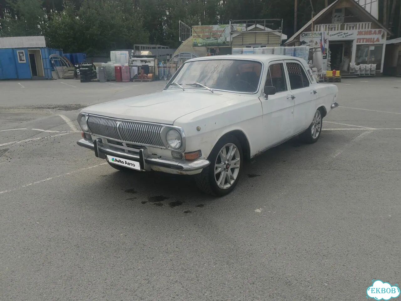 ГАЗ 24 Волга 2.5 MT, 1981, 55 000 км фото 1