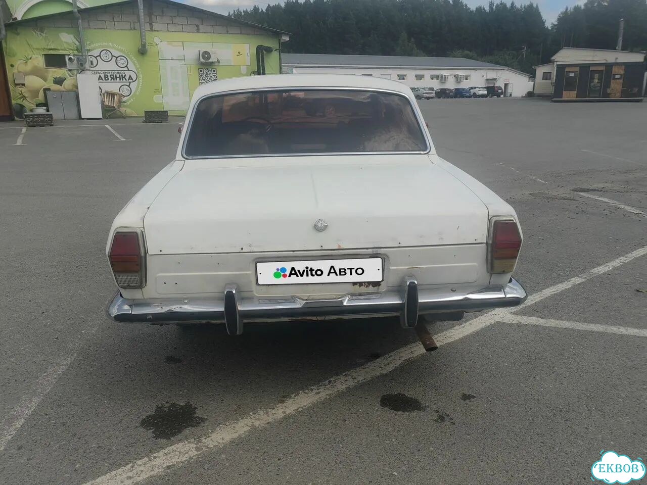 ГАЗ 24 Волга 2.5 MT, 1981, 55 000 км фото 7