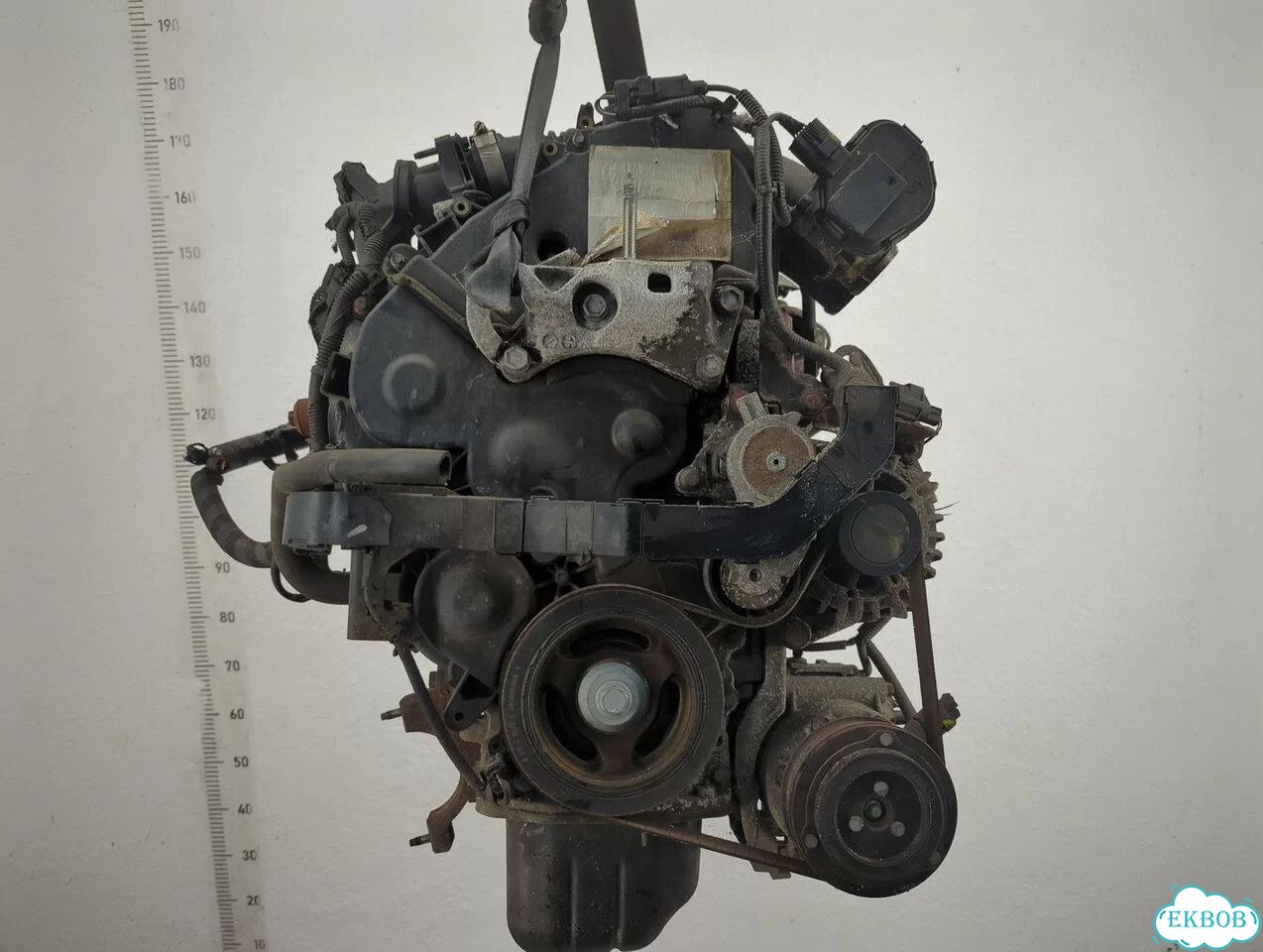 Двигатель Ford Fiesta T3JA фото 1