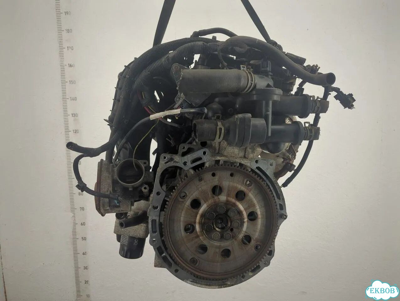 Двигатель Dodge Caliber ECN фото 3