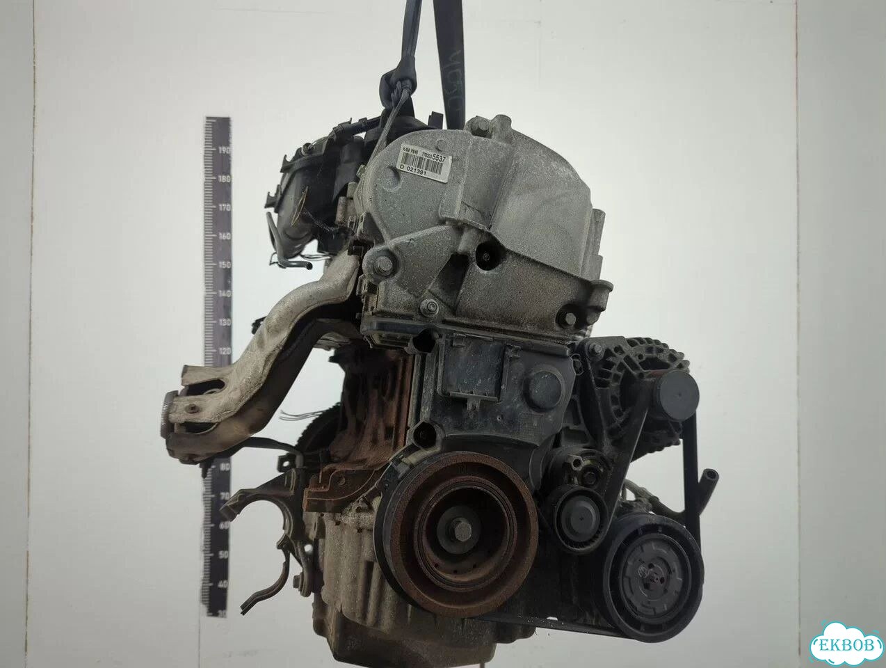 Двигатель Renault Megane 3 K4M 848 фото 4