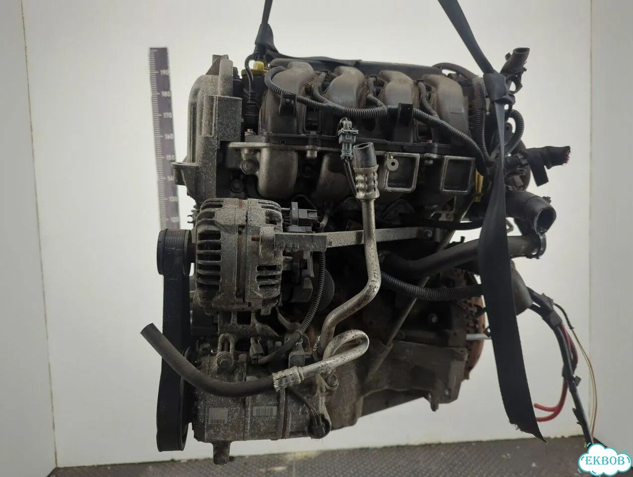 Двигатель Renault Megane 3 K4M 848 фото 5