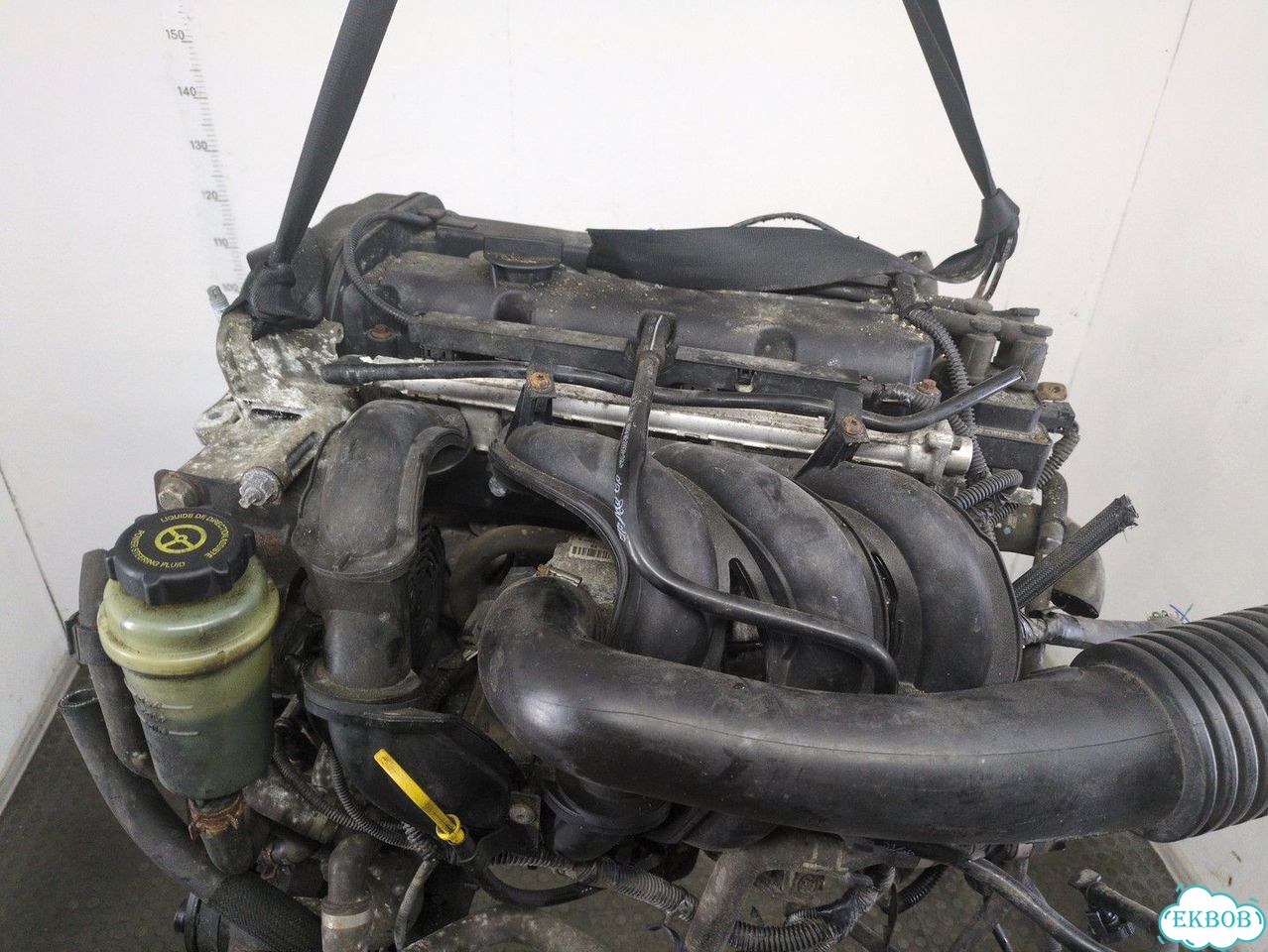 Двигатель Ford Focus 2 hwda, hwdb фото 8