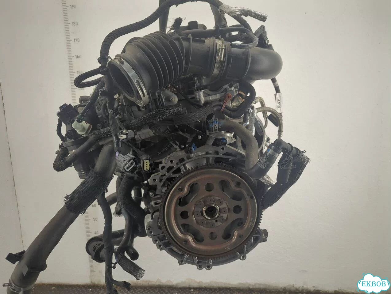 Двигатель Ford Bronco Sport Ecoboost 1.5 Dragon фото 3