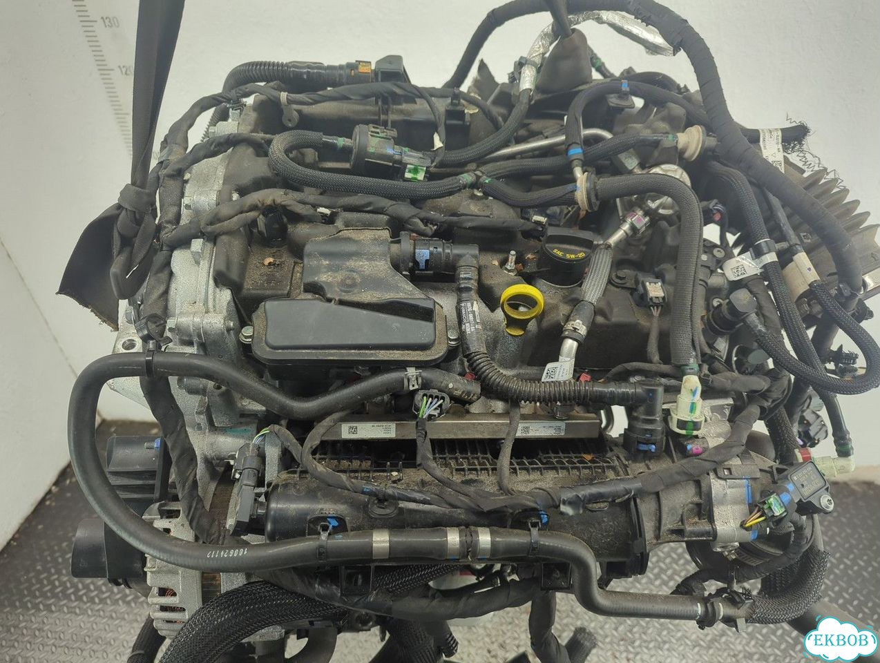 Двигатель Ford Bronco Sport Ecoboost 1.5 Dragon фото 5