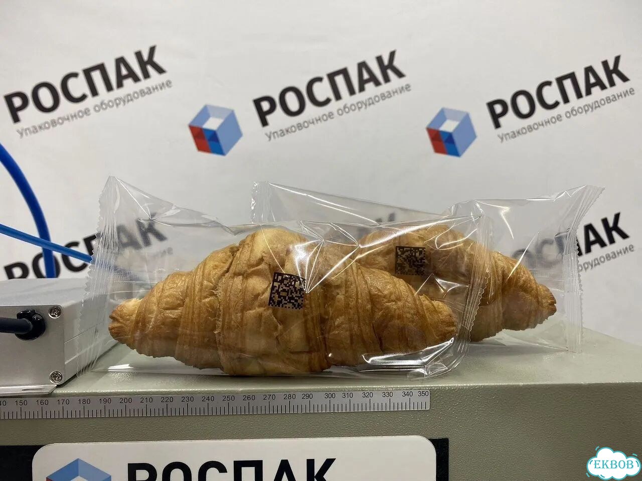 Горизонтальный упаковщик Роспак-450Д и принтер термический / Подбор оборудования фото 8