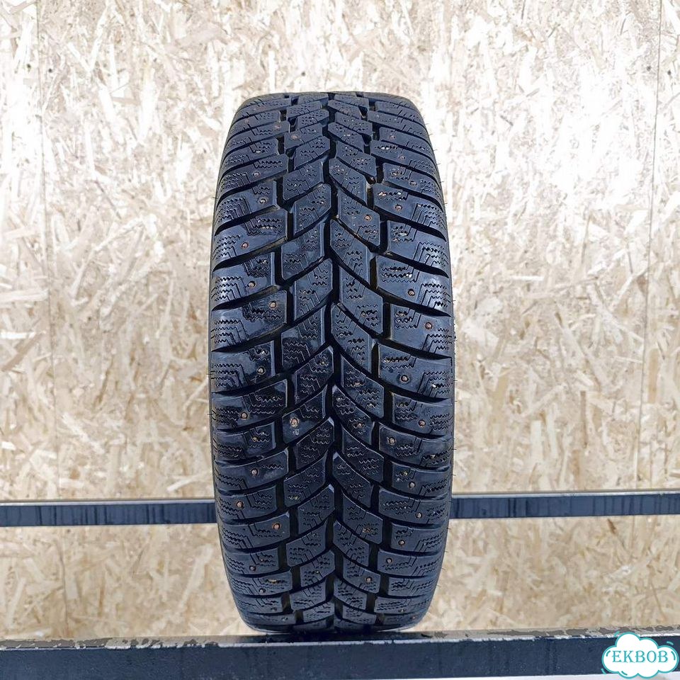 Vredestein IceTrac 205/55 R16 95W фото 1