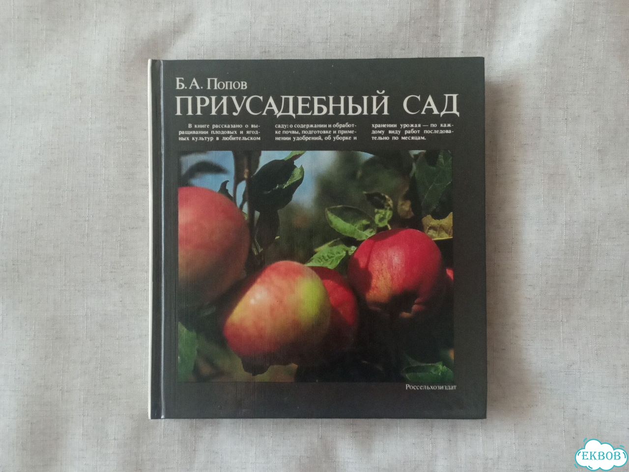 Попов Б. А. Приусадебный сад фото 1