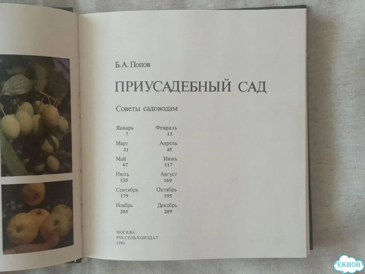Попов Б. А. Приусадебный сад фото 3