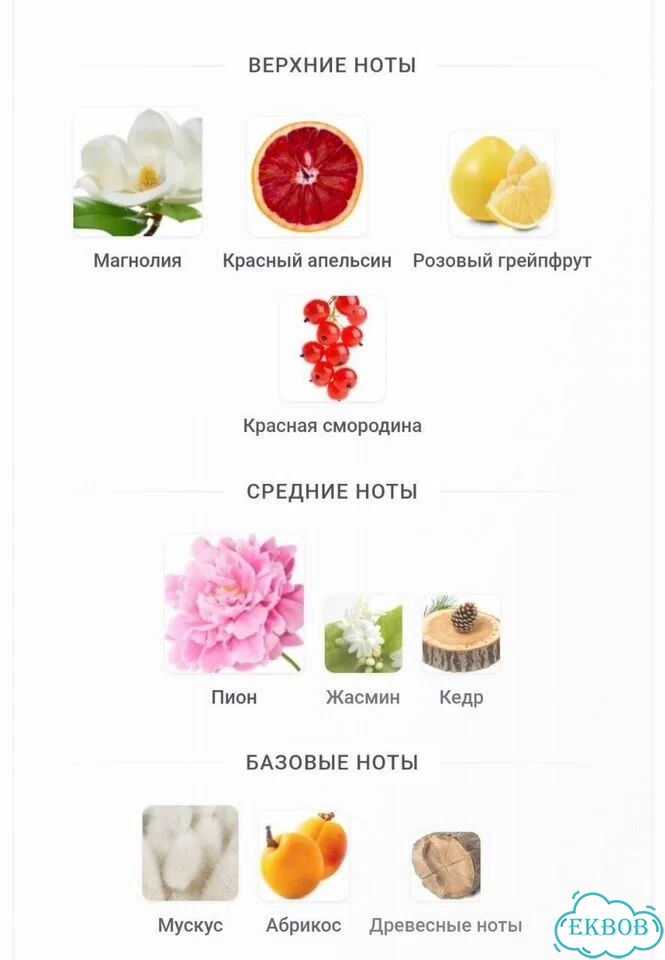 Духи женские dkny be tempted 100ml фото 8
