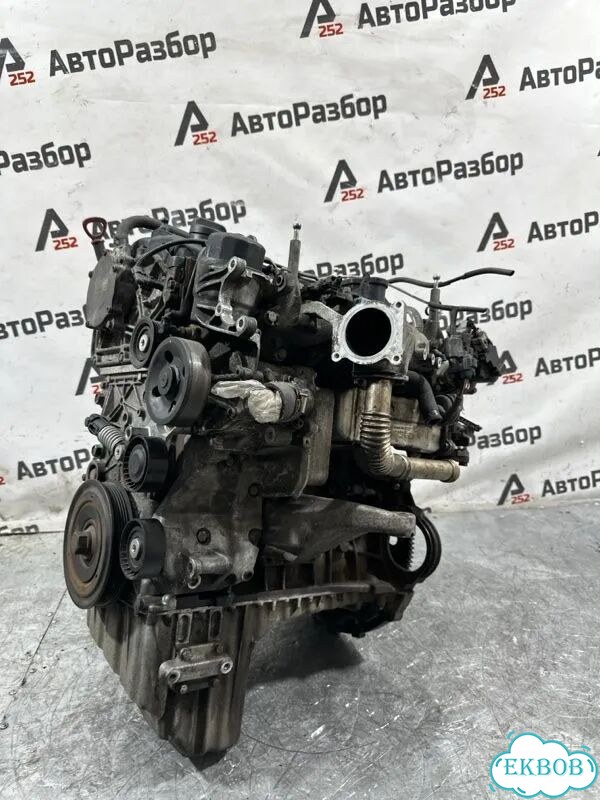 Двигатель SsangYong Rexton фото 5