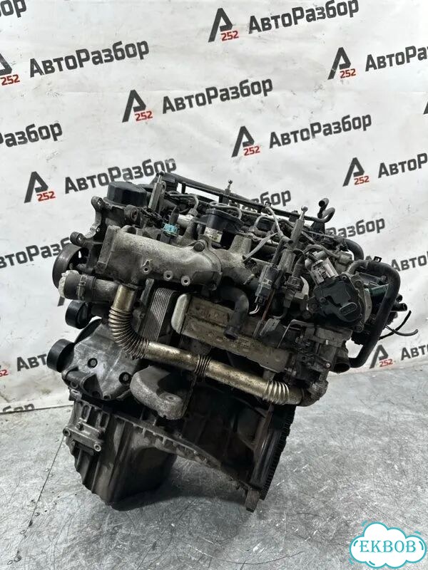 Двигатель SsangYong Rexton фото 6
