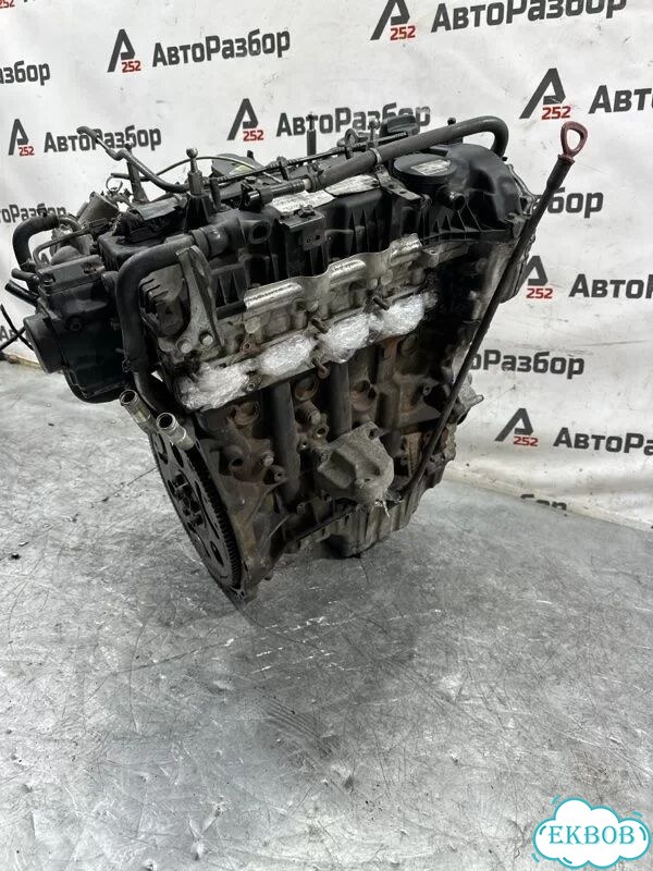 Двигатель SsangYong Rexton фото 9