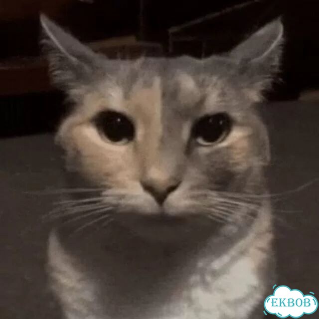 Delivery фото 1