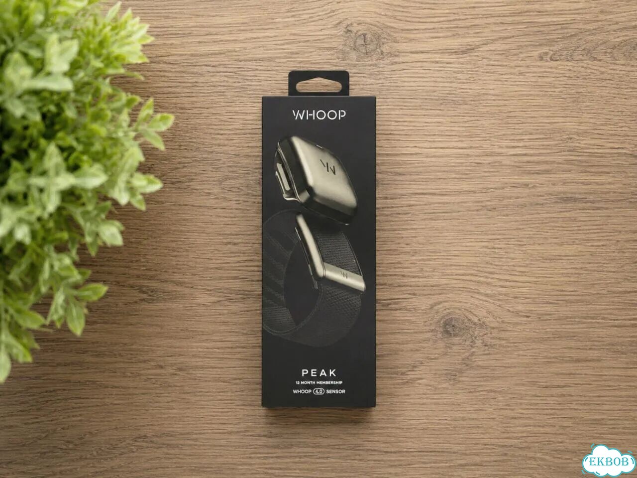 Браслет Whoop 5.0 Peak + подписка год фото 1