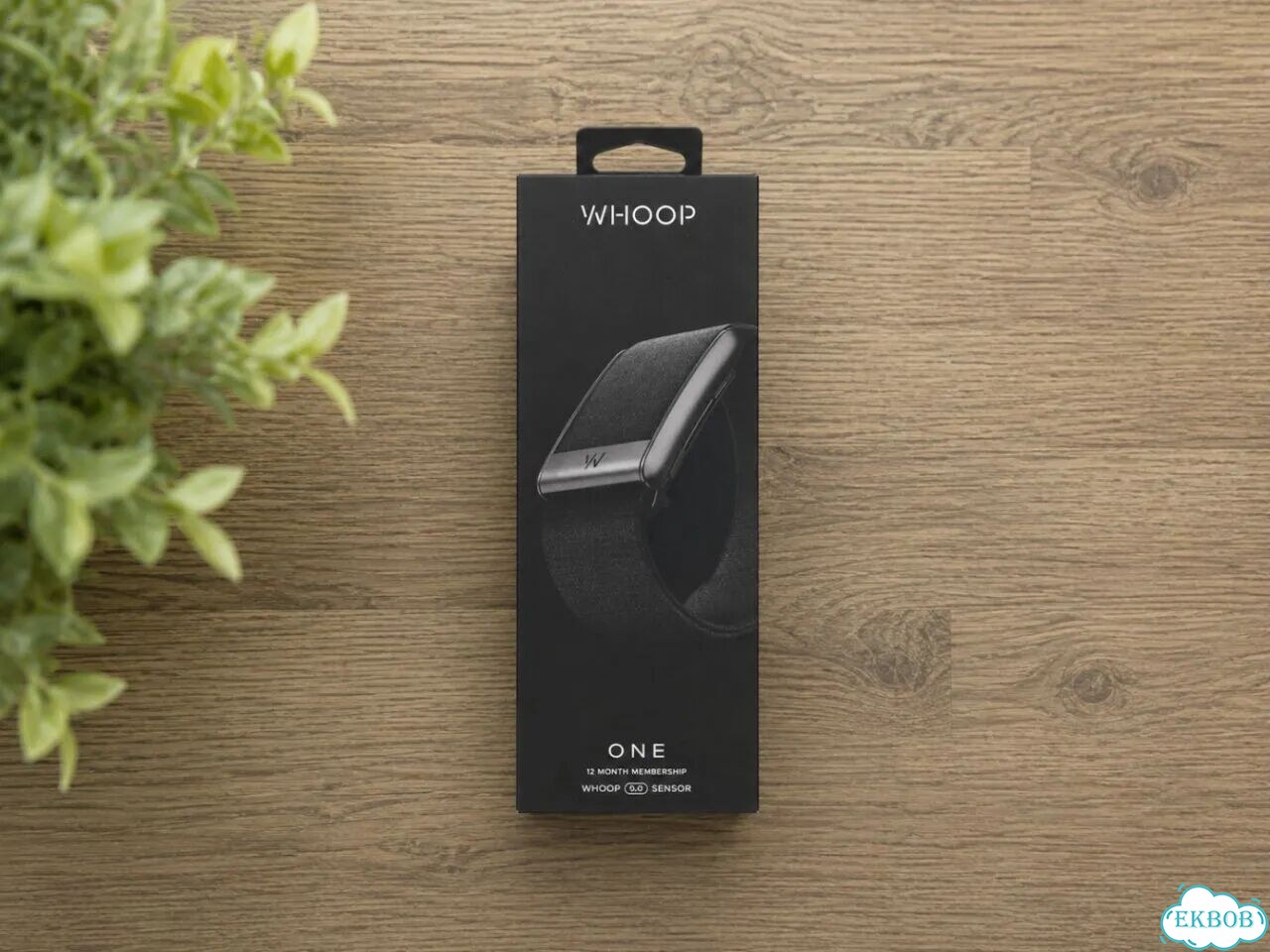 Whoop 5.0 One + подписка 12 месяцев фото 1