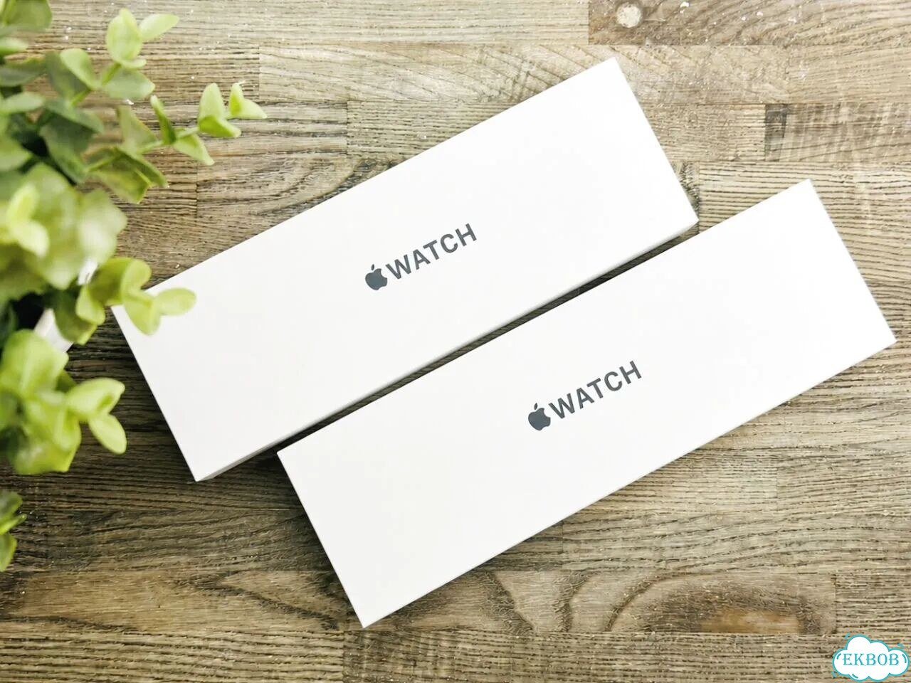 Apple Watch SE 3 (2025) 44mm Midnight фото 1