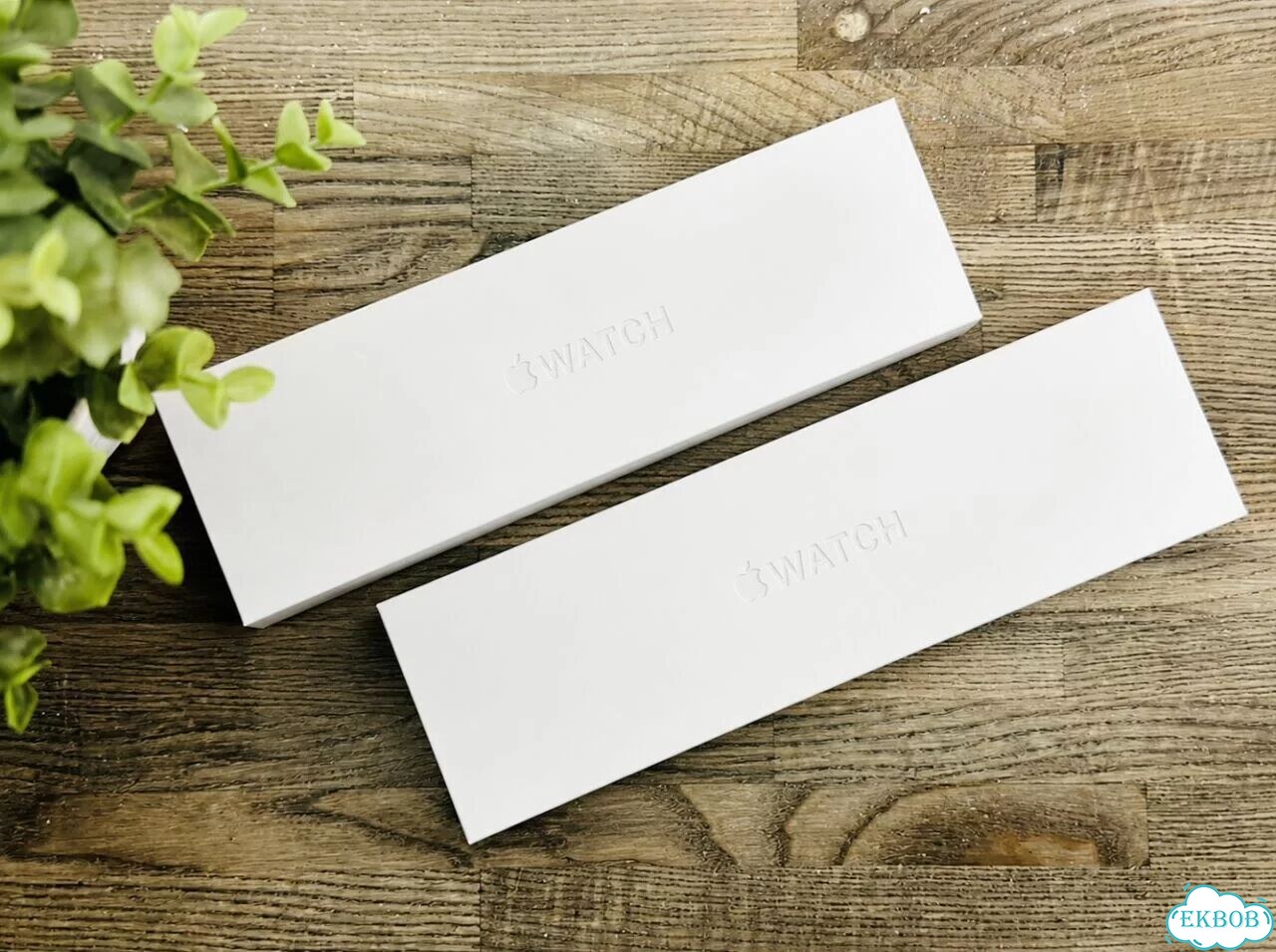 Apple Watch Series 11 (2025) 46mm Silver фото 1