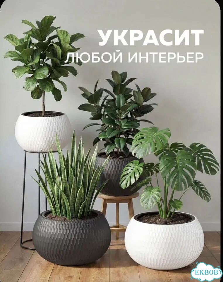 Кашпо жемчужина фото 1